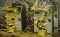Haga clic para agrandar la imagen Fanuc Arcmate 100iB With RJ3iB Welding Robot Arc mate